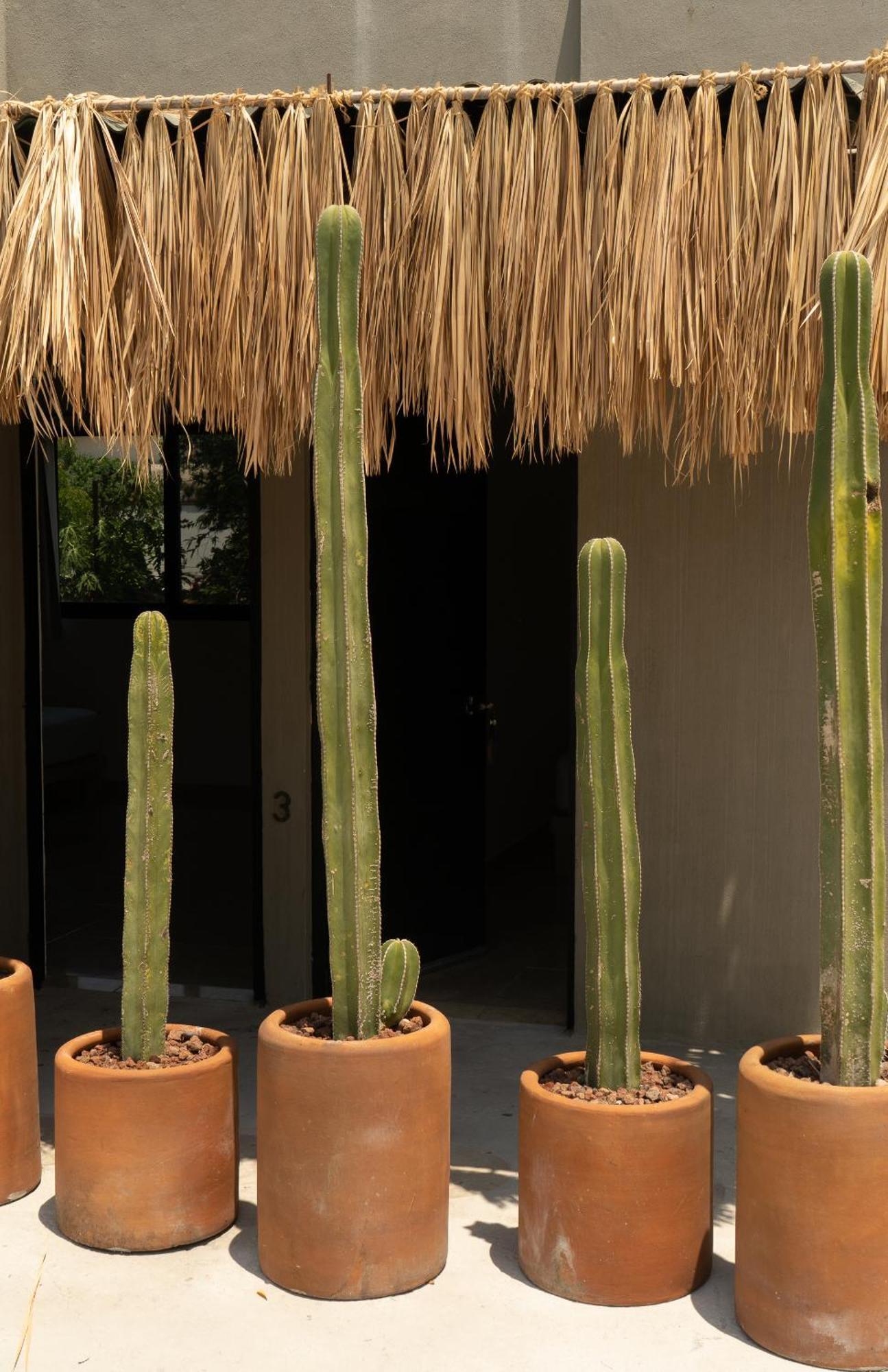 Yauik Apartamento Tequesquitengo Exterior foto